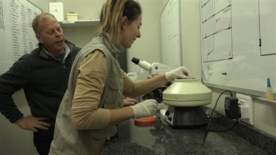 كواليس نجاح مشروع «ريسوتوب» الابتكاري لمكافحة الصيد الجائر لحيوان وحيد القرن