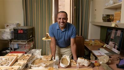 بالصور .. الجامعة الأمريكية بالقاهرة تكشف تفاصيل العثور على حفريات حيتان وديناصورات عاشت فى مصر قبل ملايين السنين