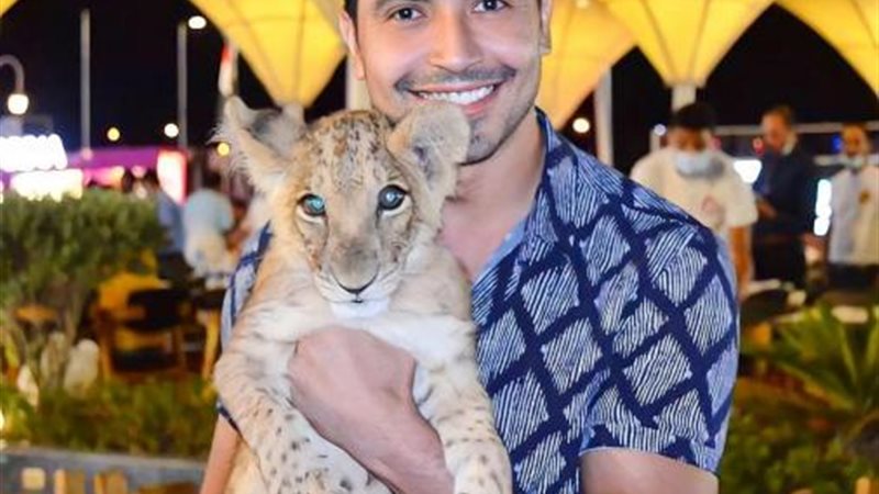 محمد أنور