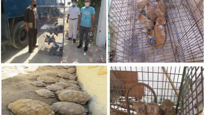 شاهد بالصور .. جهود  أجهزة وزارة الداخلية فى مجال حماية البيئة