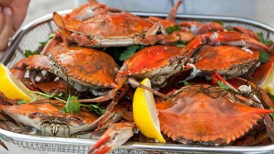 «زي المطاعم».. كيفية تحضير الكابوريا المشوية في المنزل