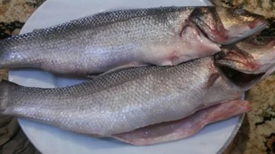 بورصة الأسعار| استقرار أسعار الأسماك فى العبور