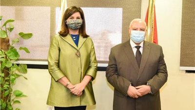 فى زمن كورونا.. تعرف على طريقة تصويت المصريين بالخارج في انتخابات ”الشيوخ”