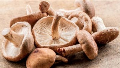 المشروم.. الحل السحري لمرضى ضغط الدم