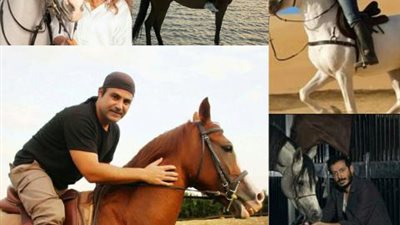 ”النجوم والخيل”.. علاقة من نوع خاص بين الإصابات الخطيرة والإحتراف والهواية