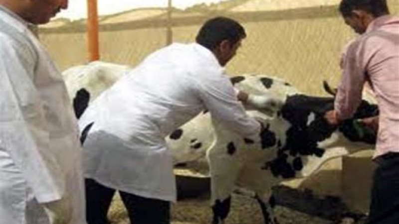 الموجز