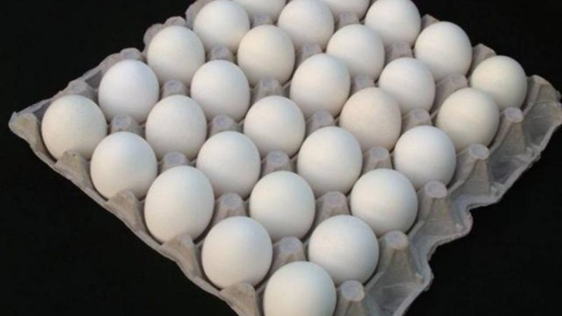 الموجز