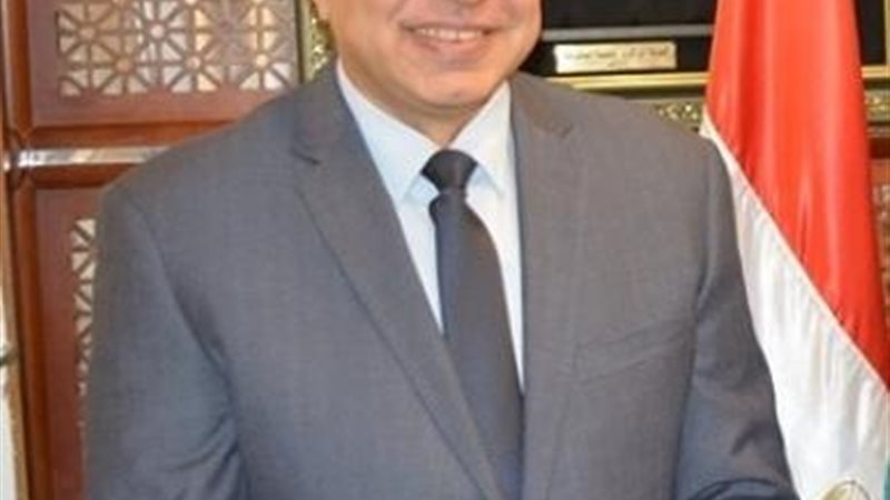 محمد سعفان وزير القوى