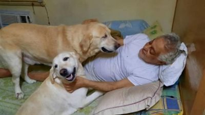 توفيق عبد الحميد بصحبة كلابه عبر ”فيس بوك”