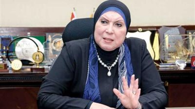 وزيرة التجارة: البرازيل أحد أهم وأقوى شركاء مصر بأمريكا اللاتينية