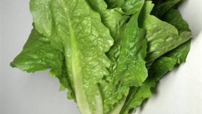 فوائد غير متوقعة عن الخس لهذه الأمراض