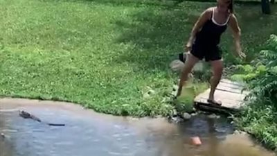 مشهد صادم لسيدة تخاطر بحياتها وسط التماسيح من أجل استعادة حقيبتها