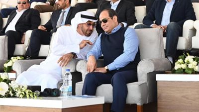 بيان إماراتي عاجل عن العلاقات مع مصر