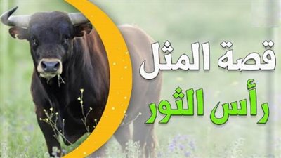 ”خذ الشور من رأس الثور”..جرة وجار غبي وراء المثل..اعرف القصة