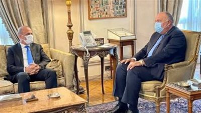 تفاصيل مباحثات شكرى مع نائب رئيس المجلس الرئاسي الليبي