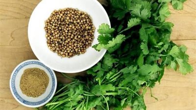 الكزبرة الجافة روشته طبية لصحة الجسم