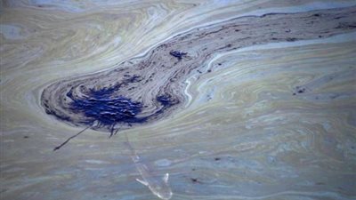 كارثة بيئية في كاليفورنيا..تفاصيل