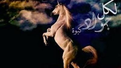 مزارع وحصانه الذكي وراء مثل ”لكل جواد كبوة”..اعرف القصة