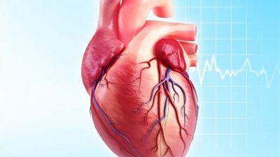الصحة تكشف عن إرشادات التغذية الصحية لمرضى القلب