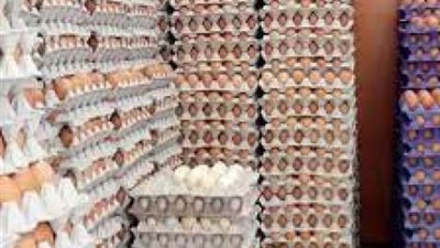 بورصة الأسعار| ارتفاع فى أسعار البيض ببورصة الدواجن .. الكرتونة تتراوح بين 50 و 53 جنيها