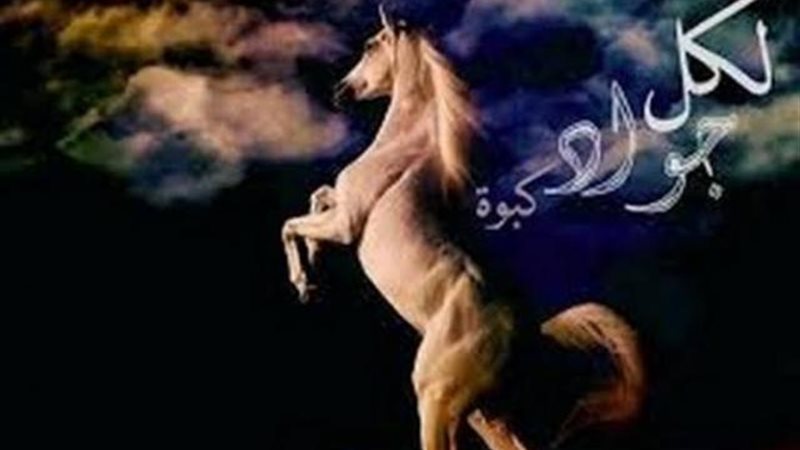 الموجز