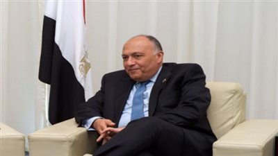 عاجل.. تعرف علي كواليس اتصالات مصر مع دول العالم لحماية ليبيا
