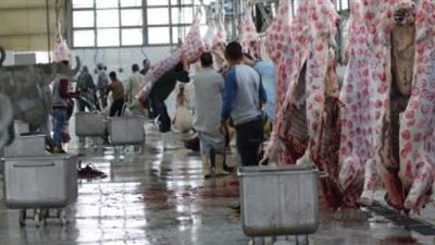 كفر الشيخ: فتح المجازر الحكومية لذبح الأضاحي مجانا و غرامة للذبح في الشوارع