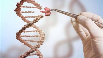ماذا تعرفين عن مخاطر العلاج الجيني؟.. إليك الإجابة