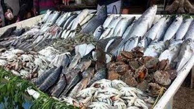 بورصة الأسعار| تعرف على أسعار الأسماك فى سوق الجملة بالعبور  .. البورى يسجل 40 و50 جنيها