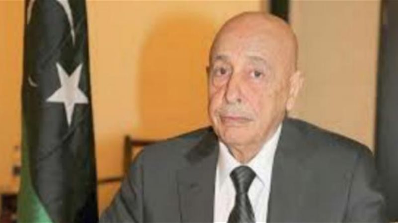 المستشار عقيلة صالح