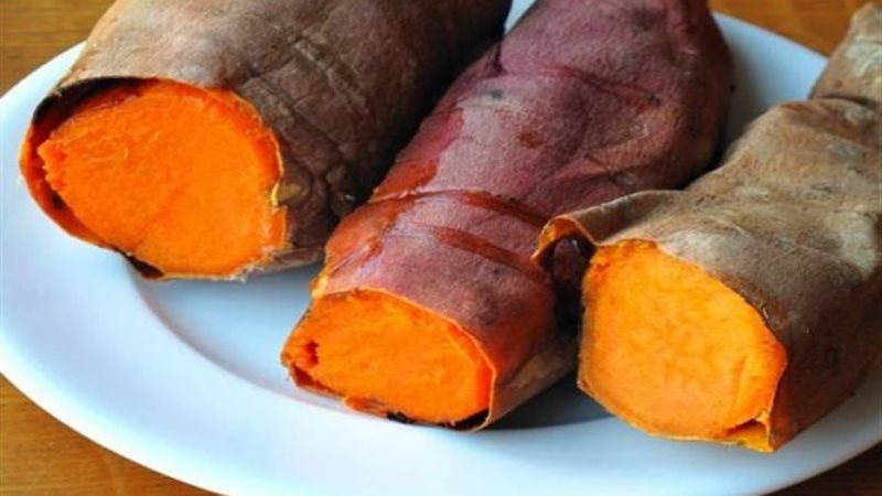 البطاطا الحلوة