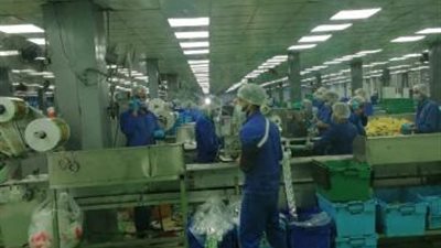 تفتيش مفاجئ.. ماذا وجدت القوى العاملة في شركة «اندومي»؟