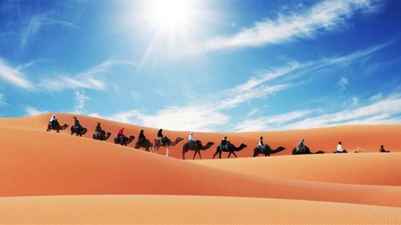 الموجز