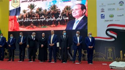 نيفين جامع: القيادة السياسية تولي اهتماماً كبيراً لتنمية وتطوير قطاع زراعة النخيل وإنتاج التمور