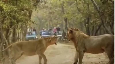 «ولا زمان يا ملك».. حرب شرسة بين أسد وزوجته يشعلان السوشيال ميديا