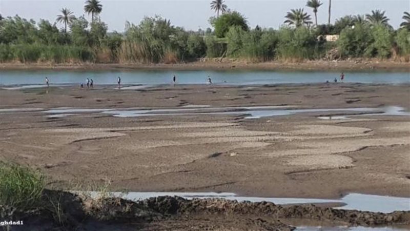 الموجز