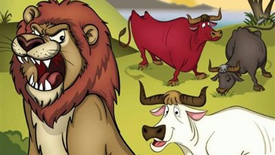 ”أُكلت يوم أُكل الثور الأبيض”.. قصة مثيرة بين ثلاث ثيران وأسد وراء هذا المثل