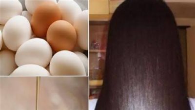 ما هي فوائد البيض للشعر مع الحناء؟.. تعرفي عليها