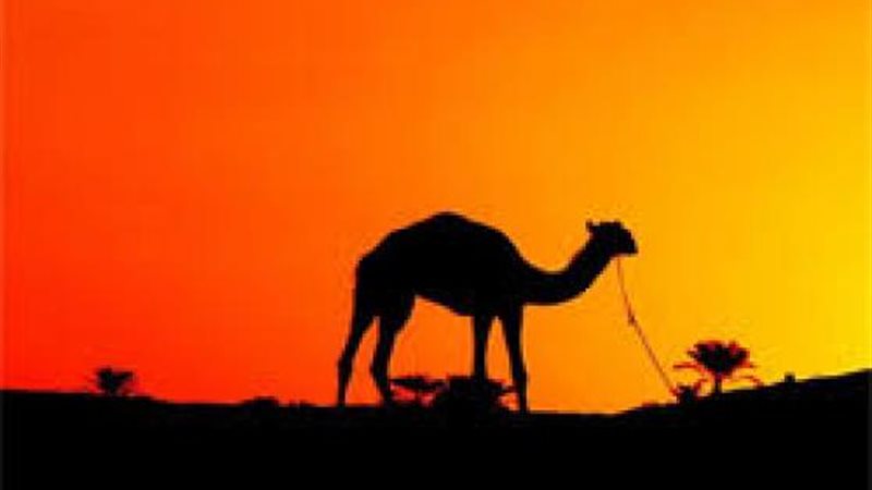 الموجز