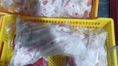 شاهد  .. الجيزة تضبط 12 طن دواجن ولحوم فاسدة في هذه المناطق