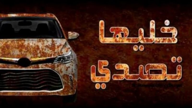 خليها تصدى