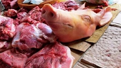 إغلاق أكبر شركة مصدرة للحوم الخنزير فى أوروبا