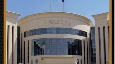 شاهد بالفيديو .. أبرز جهود قطاعى الأمن العام والمخدرات خلال أسبوع