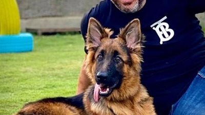 صديقي الوفي.. ماجد المصري بصحبة كلبه المفضل