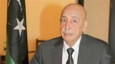 عاجل.. تهديد شديد اللهجة من البرلمان الليبي لتركيا