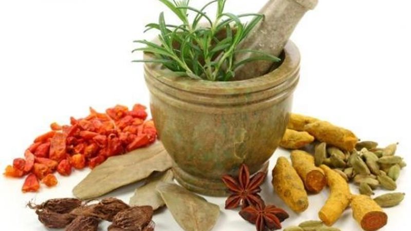 المضادات الحيوية-