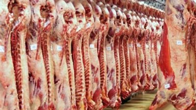 الحكومة: حملات تفتيشية مكثفة على أسواق اللحوم خلال عيد الأضحى
