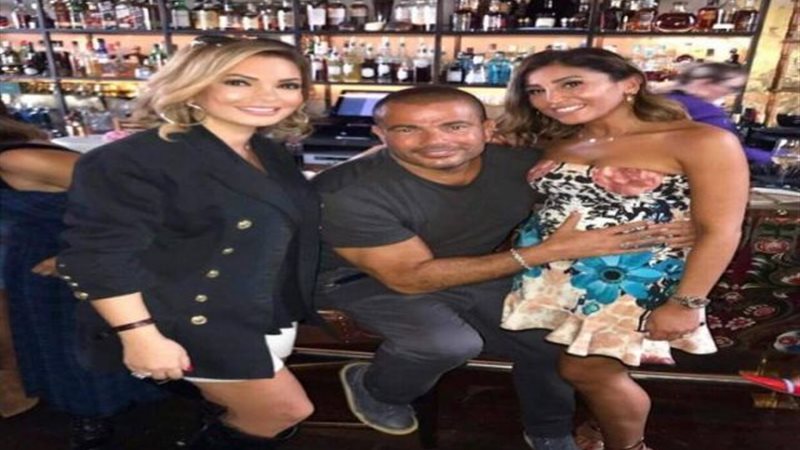 دينا الشربينى