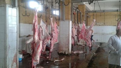 محافظ كفر الشيخ يقرر فتح المجازر مجانا لاستقبال الأضاحي