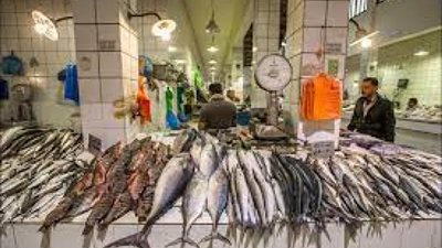 بورصة الأسعار| استقرار أسعار السمك فى سوق الجملة